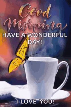 Good Morning Have A Wonderful Day GIF