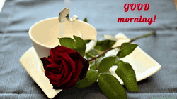 Good Morning Heart Dark Red Rose GIF