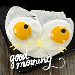 Good Morning Honey Cat Faced Eggs GIF