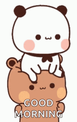 Good Morning Hugs Bear Couple  GIF