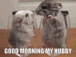 Good Morning Husband Of A Lovely Mouse GIF