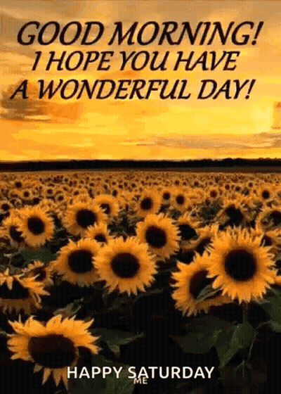 Good Morning ! I Hope You Have A Wonderful Day ! Happy Saturday . GIF