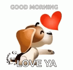 Good Morning I Love You Dog Kiss GIF