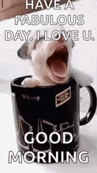 Good Morning I Love You Puppy Cup GIF
