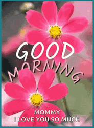 Good Morning I Love You So Much Wonderful Day GIF