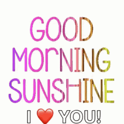 Good Morning I Love You Sunshine GIF