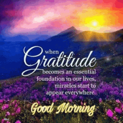 Good Morning Inspirational Message On Gratitude GIF