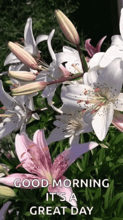 Good Morning It's A Great Day Flowers GIF
