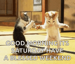 Good Morning It's Saturday Have A Blessed Weekend GIF