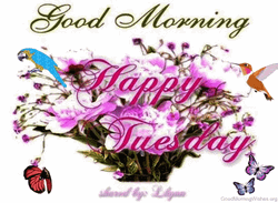 Good Morning It's Tuesday Cute Butterflies GIF