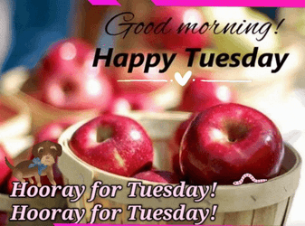 Good Morning It's Tuesday Fresh Apples GIF