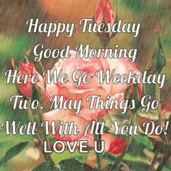 Good Morning It's Tuesday Pink Roses GIF