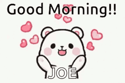 Good Morning Joe In Sign Language GIF