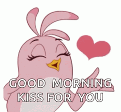 Good Morning Kiss Angry Birds Stella