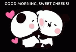 Good Morning Kiss Couple Panda