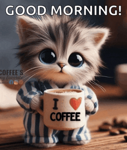 Good Morning Kitty Meme GIF