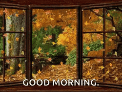 Good Morning Leaves Fall Season Change