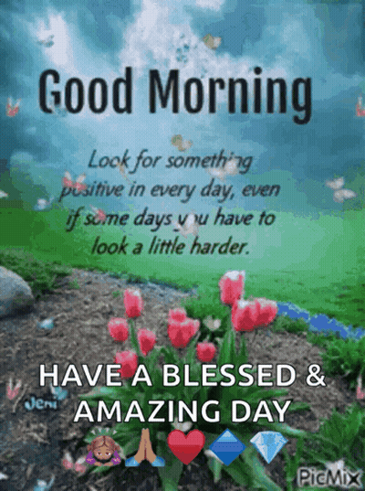 Good Morning Look For Something Positive In Every Day GIF