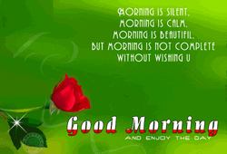 Good Morning Love And Enjoy The Day GIF