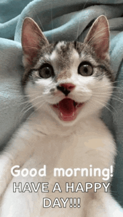 Good Morning Love Good Morning Kiss Meme GIF