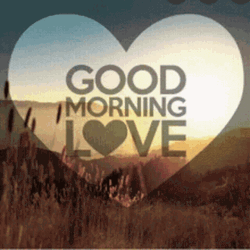 Good Morning Love Pink Rose Petals GIF