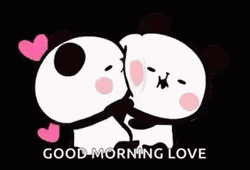Good Morning Love You Panda Cuddles GIF