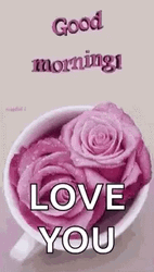 Good Morning Love You Pink Roses In A Cup GIF