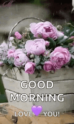Good Morning Love You Purple Flower In A Basket GIF
