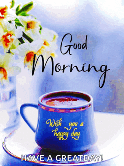 Good Morning Meme GIF