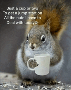 Good Morning Meme GIF