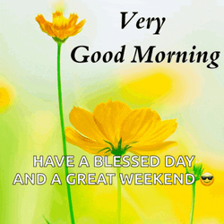 Good Morning Meme GIF