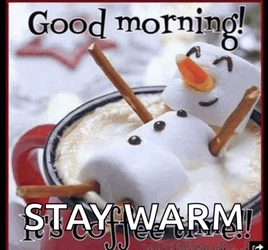 Good Morning Meme GIF