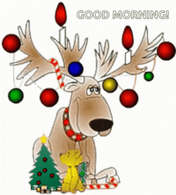 Good Morning Merry Christmas Wednesday Deer GIF