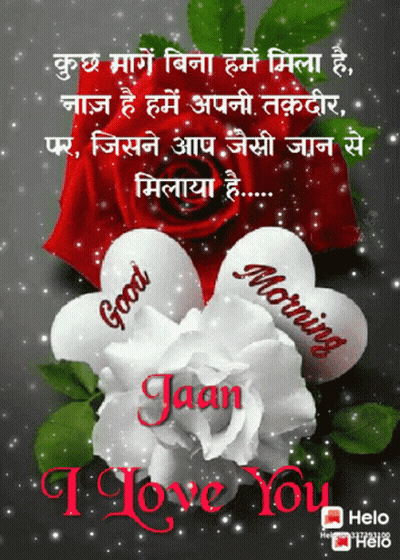 Good Morning Message in Foreign Language With Red Rose