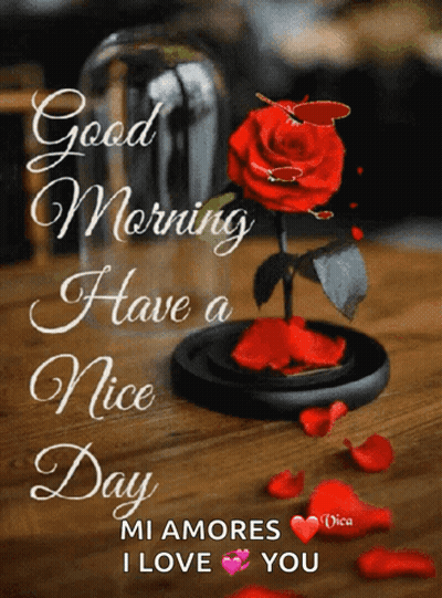 Good Morning Message With Red Rose In Glass GIF
