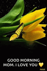 Good Morning Mom I Love You Flowers GIF