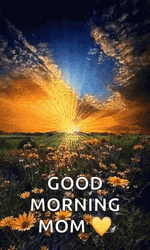 Good Morning Mom Sun Flowers GIF