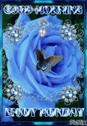 Good Morning Monday Blue Roses And Butterflies GIF
