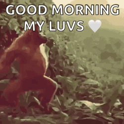 Good Morning Monday Funny Dancing Orangutan GIF