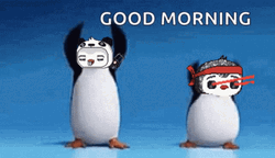 Good Morning Monday Funny Dancing Penguin GIF