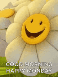 Good Morning Monday Happy Winking Daisy Flower GIF