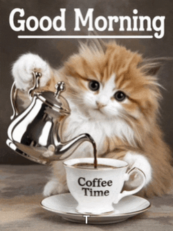 Good Morning Morning Coffee Meme GIF