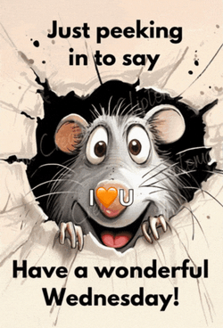 Good Morning Mouse Meme GIF
