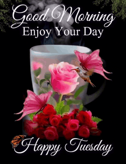 Good Morning My Friend Happy Tuesday GIF