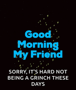 Good Morning My Friend Sorry GIF