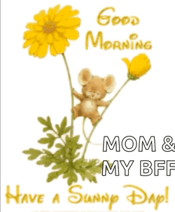 Good Morning My Friend Yellow Flowers GIF