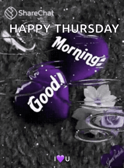 Good Morning My Love Happy Thursday Sam Sweetest Day GIF