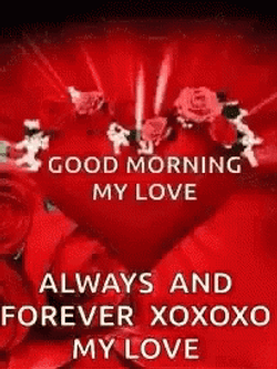 Good Morning My Love In Sign Language GIF