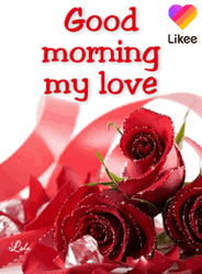 Good Morning My Love  Sparkling Red Roses GIF