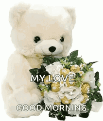 Good Morning My Love White Bear Roses